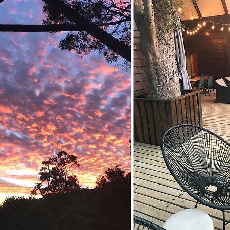 Forestchild Self Catering, The Crags Villa Buitenkant foto
